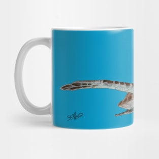 Green Sea Turtle 2 Mug